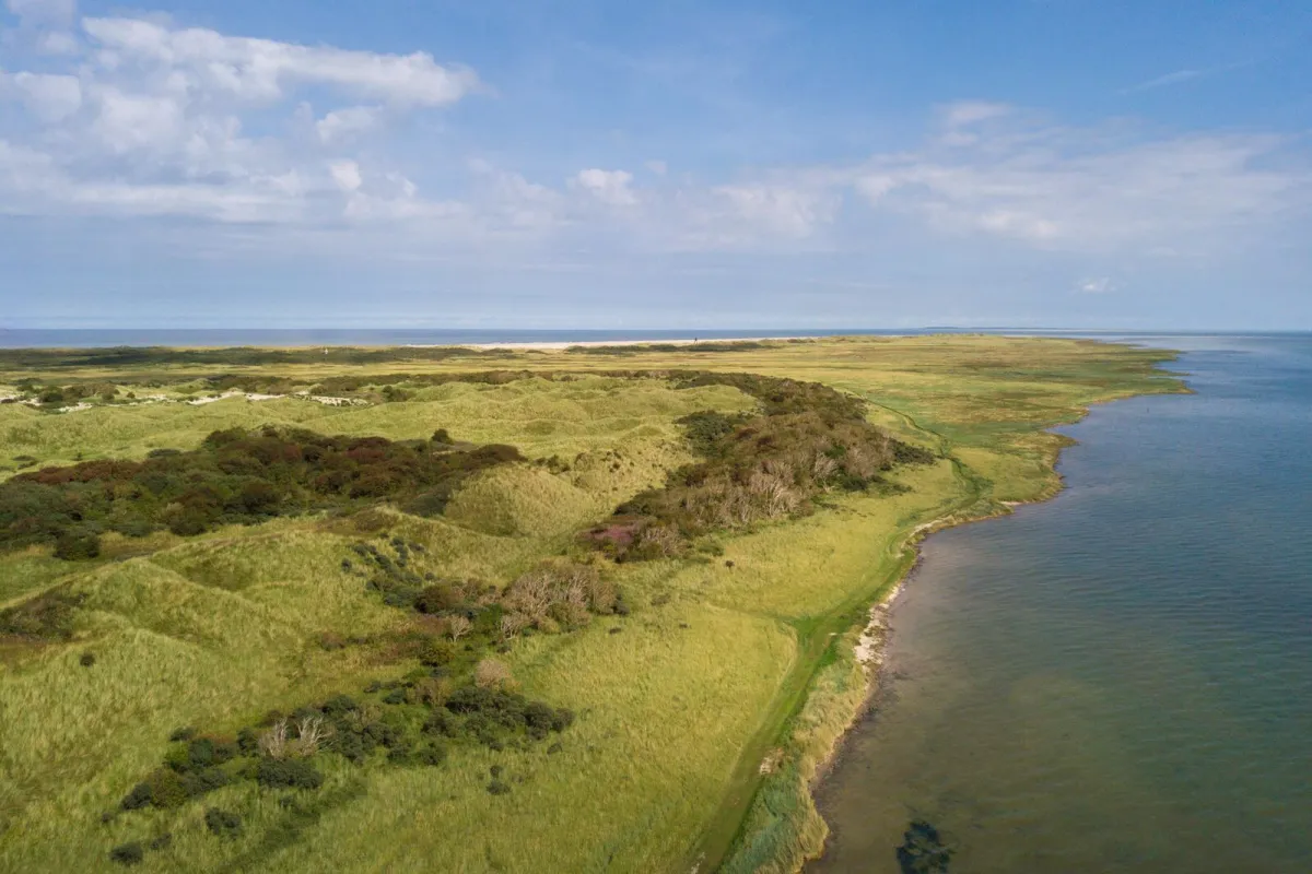 met-waddengoud-bekroond.jpg